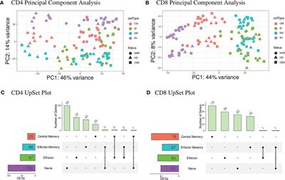 The transcriptomics profiling of blood CD4 and CD8 T-cells in narcolepsy type I